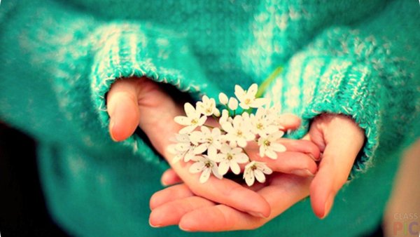 Цветы в ладонях