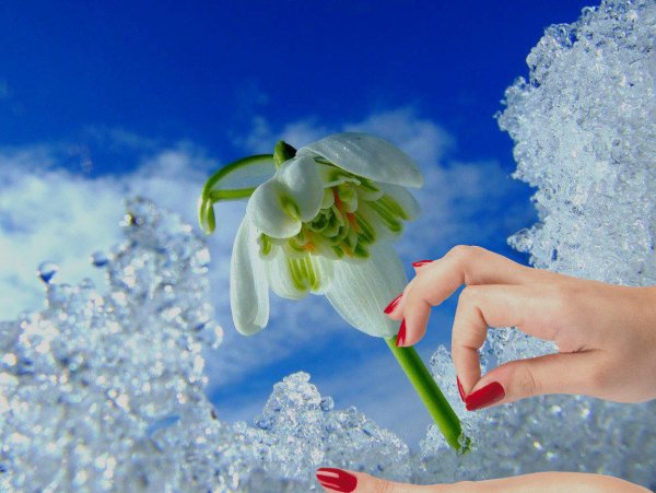 Приближаем весну