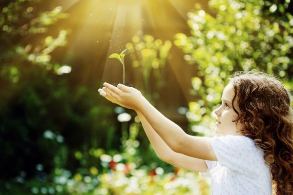 Солнышко в руках