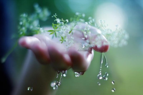 Капля воды в руках