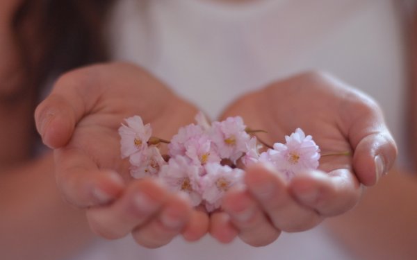 Цветы в ладонях