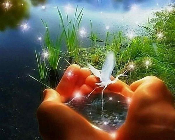 Счастье в ладошках