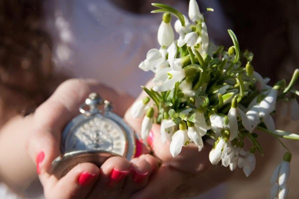 Весенние цветы в ладонях