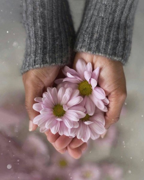 Веток счастье