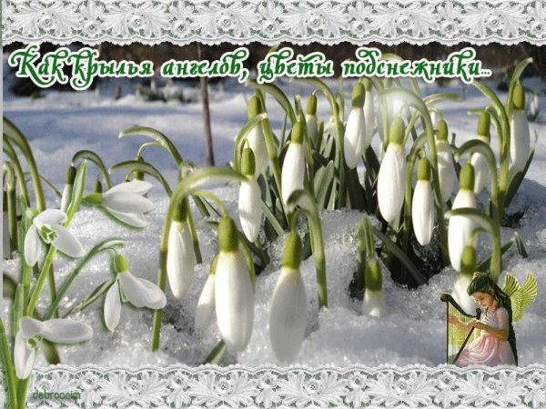 С наступлением весны