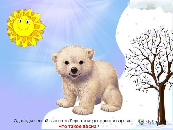 Медведь весной