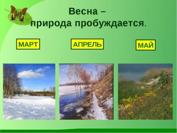 Весенняя природа для детей