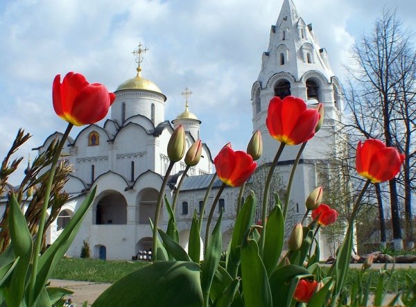 Скит Оптиной пустыни ранняя Весна