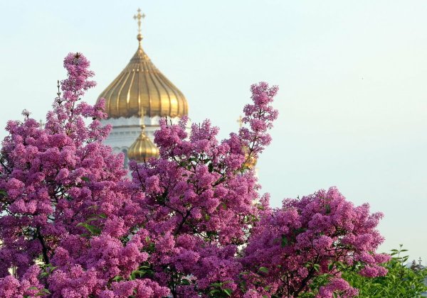 Цветы в храме