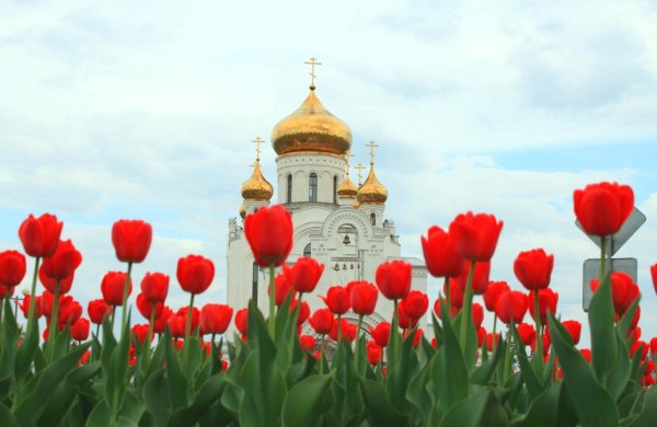 Храм в весеннем Оренбург