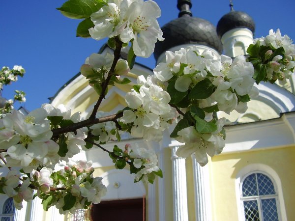 Храм в весеннем Оренбург