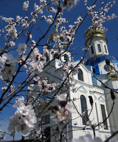 Храм весной