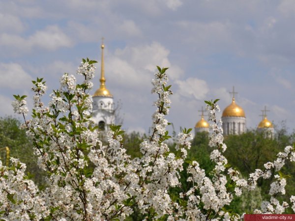 Православные храмы золотого кольца России