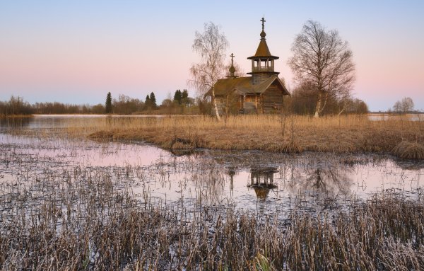 Цветы в храме