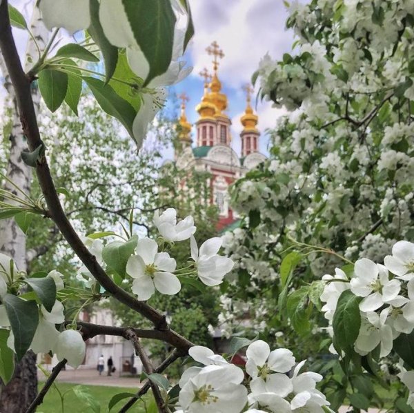 Дивеевский Преображенский собор зимой