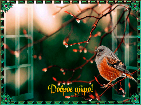 Доброе утро старинные открытки