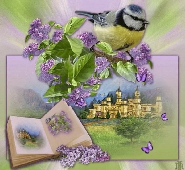 Зарянка цветок