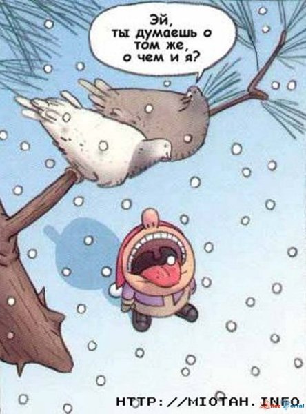 Мартовский кот демотиватор