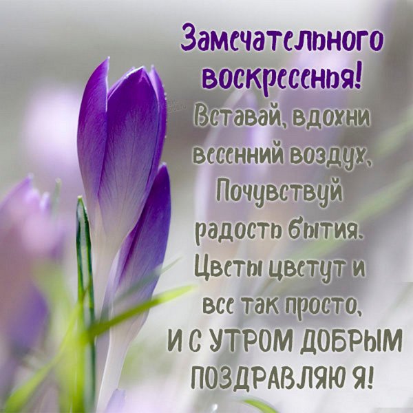 Доброе у РО С Подснежн ками