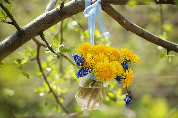 Хорошего весеннего дня