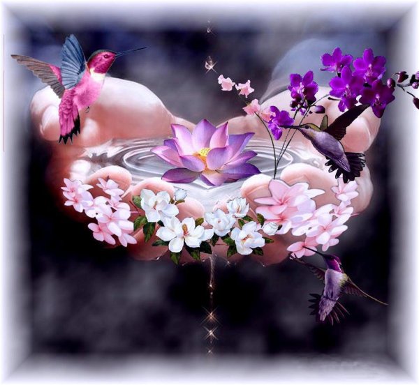 Гармония человека и природы