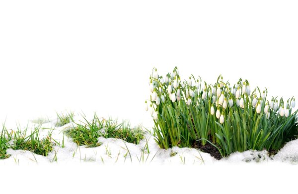 Весна для детей