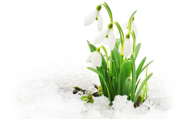 Мультяшные дети весной