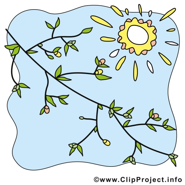 Травка лужок для детей