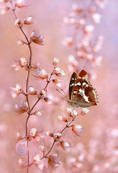 Красивые пейзажи для фотомонтажа