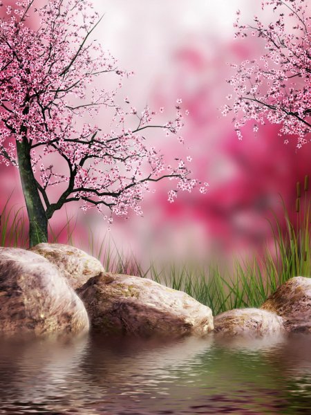 Ландыши в росе