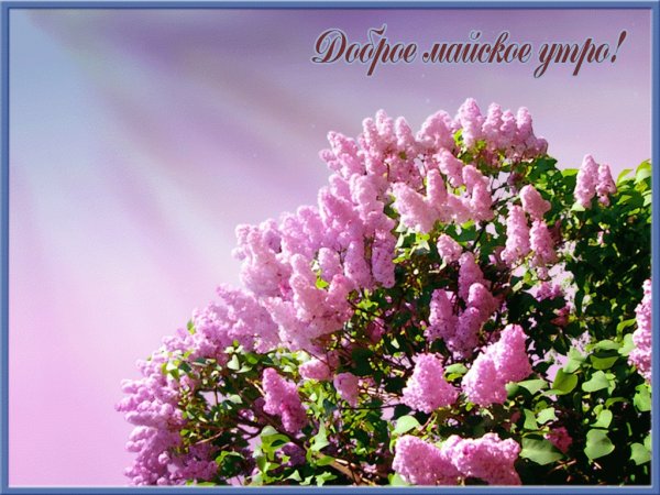 Открытки с добрым майским утром