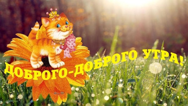 Доброе Весеннее утро прикольные