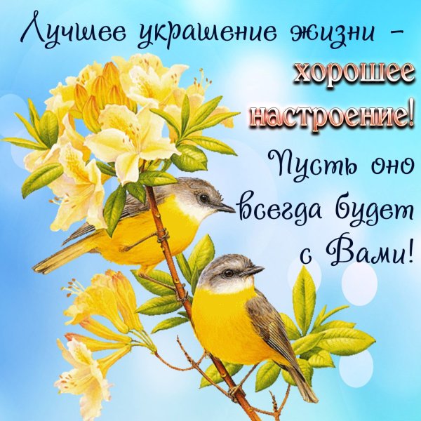 Солнечного дня и хорошего настроения прикольные