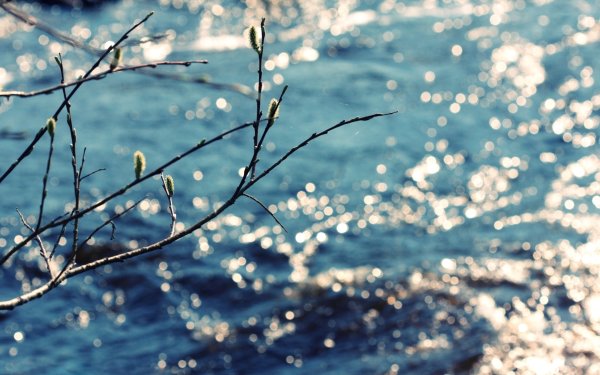 Ранняя Весна