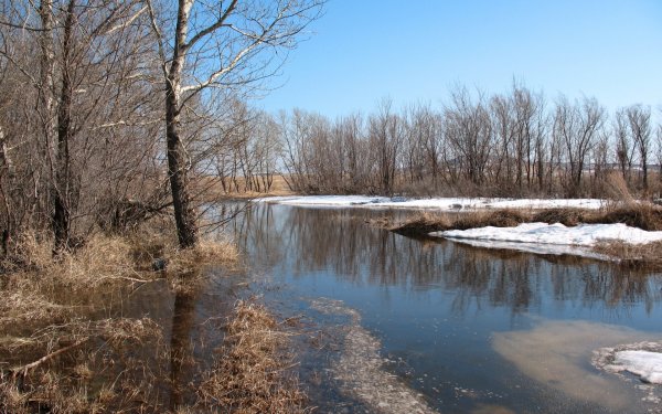 Евтихий тихий да Ерема пролетный 19 апреля