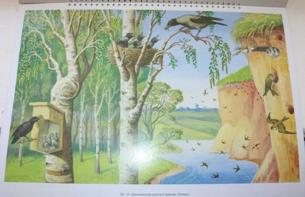 Труд дошкольников