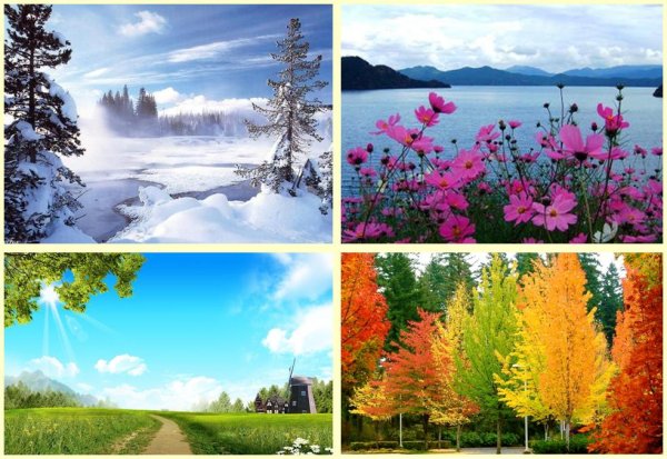 Времена года