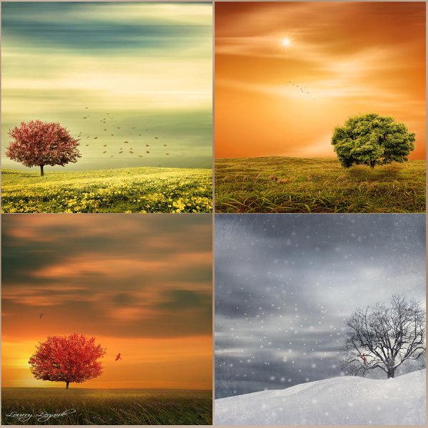 Пейзаж в Разное время года