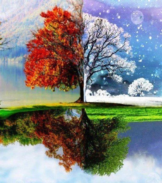 Времена года зима Весна лето осень