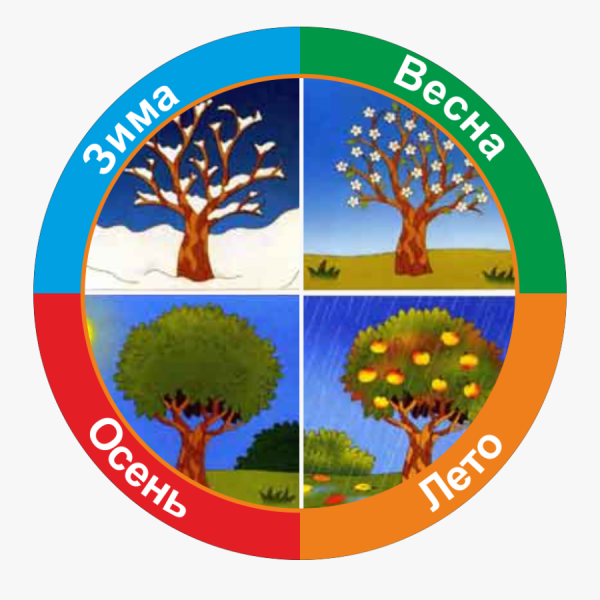 Времена года