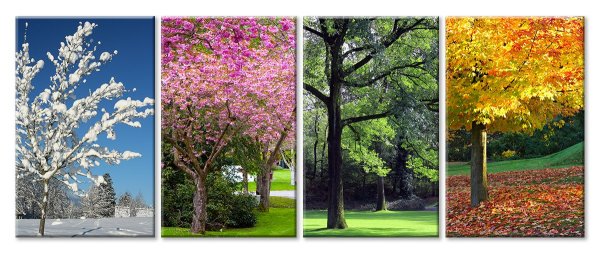 Времена года