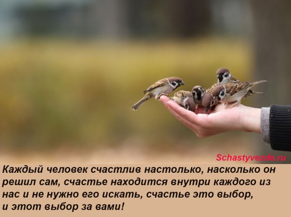 Просто хочется весны без болезней и войны