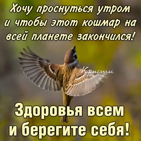 Цитаты про весну