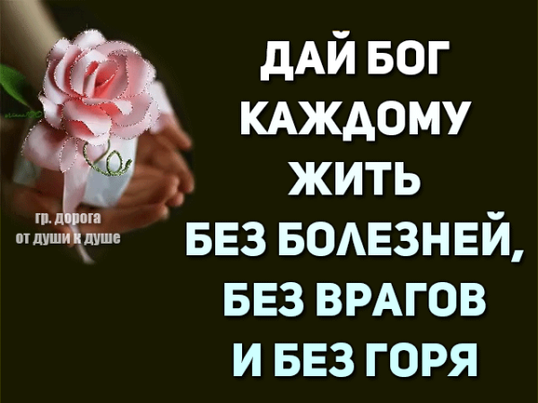 Мир во всем мире