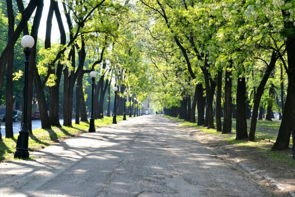 Улица города