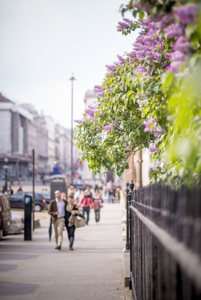 Ночной осенний город