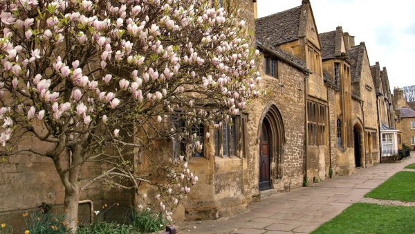 Нью Йорк централ парк Сакура