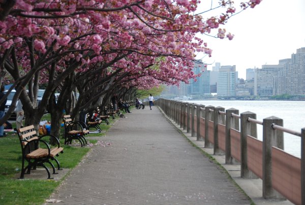 Парк аниме гачи лайф со скамейкой