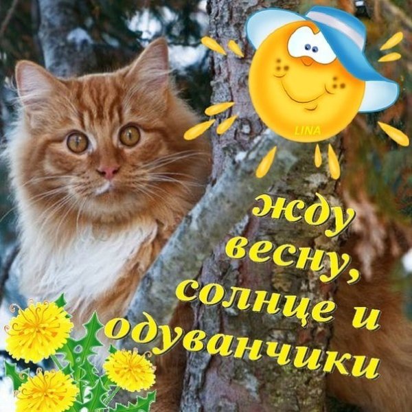 Мы ждем весну