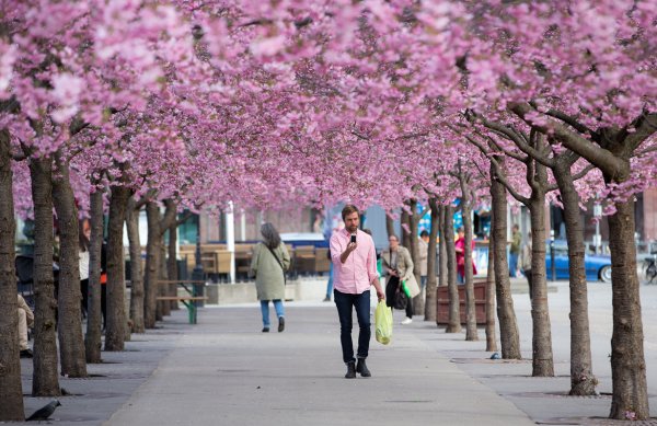 Спринг стрит Нью-Йорк